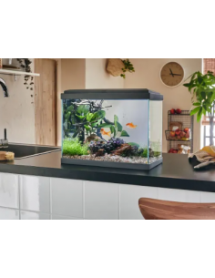 Aquarium Fresh 40 LED Gris 20L avec Kit de Filtration + Éclairage - Pure Family Pure Family Aquarium pour poisson d'eau froide