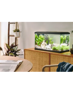 Aquarium Tropical 60 Gris 48L - Pure Family Pure Family Aquarium pour poisson d'eau froide