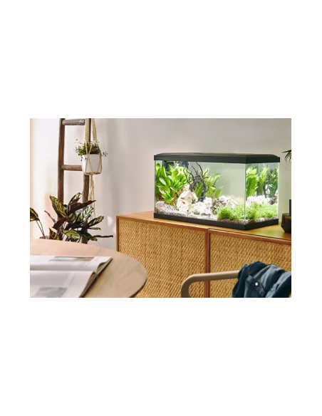 Aquarium Tropical 60 Gris 48L - Pure Family Pure Family Aquarium pour poisson d'eau froide