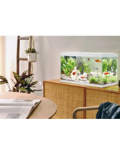 Aquarium Tropical 60 Blanc 48L - Pure Family Pure Family Aquarium pour poisson d'eau froide