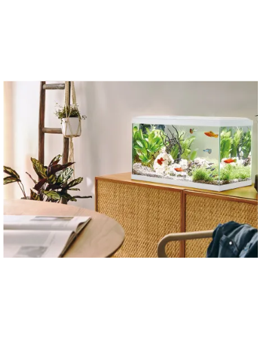 Aquarium Tropical 60 Blanc 48L - Pure Family Pure Family Aquarium pour poisson d'eau froide