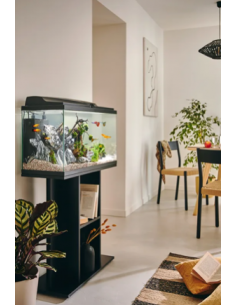 Aquarium Tropical 80 Noir 81L - Pure Family Pure Family Aquarium pour poisson d'eau froide