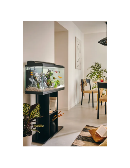 Aquarium Tropical 80 Noir 81L - Pure Family Pure Family Aquarium pour poisson d'eau froide