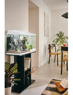 Aquarium Tropical 80 Blanc 81L - Pure Family Pure Family Aquarium pour poisson d'eau froide
