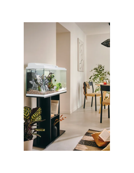 Aquarium Tropical 80 Blanc 81L - Pure Family Pure Family Aquarium pour poisson d'eau froide