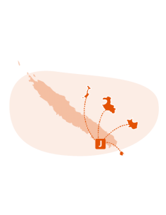 Livraison Îles - CMI  Accueil