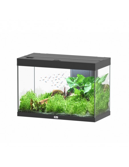 Aquarium Splendid noir à LED 2.0 L.80 x P.40 x H.56 - Aquatlantis Aquatlantis Aquarium pour poisson d'eau froide