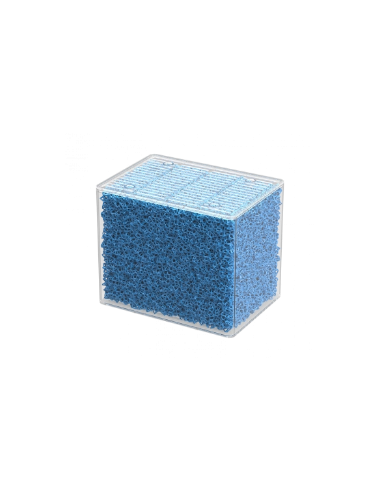 Aquarium Splendid noir à LED 2.0 L.80 x P.40 x H.56 - Aquatlantis Aquatlantis Aquarium pour poisson d'eau froide