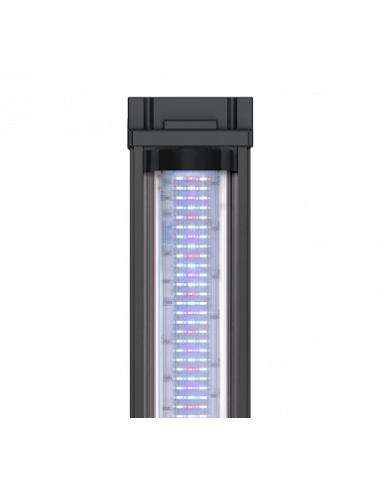 Aquarium Splendid noir à LED 2.0 L.80 x P.40 x H.56 - Aquatlantis Aquatlantis Aquarium pour poisson d'eau froide