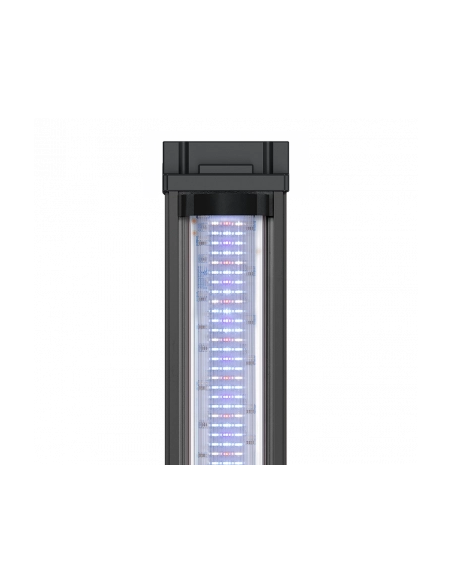 Aquarium Splendid noir à LED 2.0 L.80 x P.40 x H.56 - Aquatlantis Aquatlantis Aquarium pour poisson d'eau froide