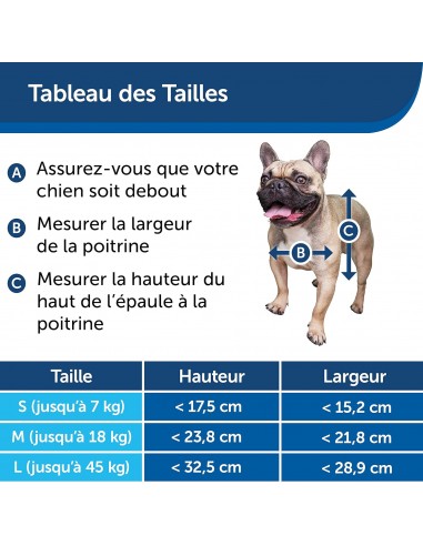 Chatière staywell grise 2 positions - PetSafe Petsafe Chatière