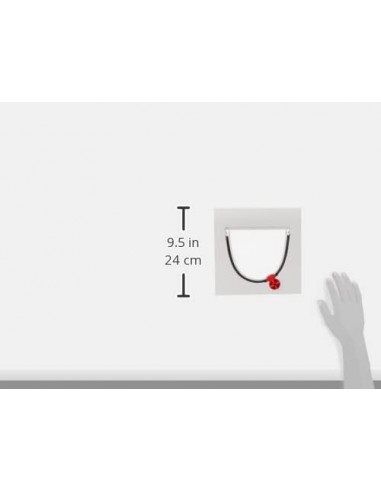 Chatière 4 positions - PetSafe Petsafe Chatière