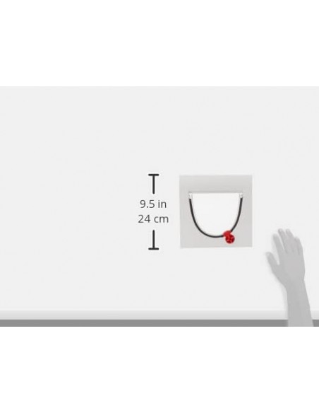 Chatière 4 positions - PetSafe Petsafe Chatière