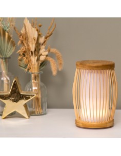 Diffuseur Canis + huile essentielle - Galeo GALEO Diffuseur ultrason 2