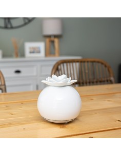 Diffuseur Nelumbo - Galeo GALEO Diffuseur ultrason 2