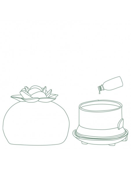 Diffuseur Nelumbo - Galeo GALEO Diffuseur ultrason