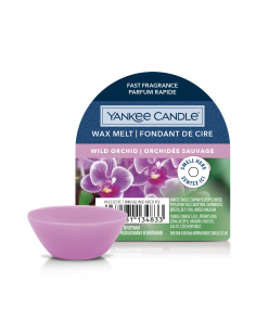 Fondant de cire "Orchidée sauvage" - Yankee Candle" Yankee Candle Bougie parfumée