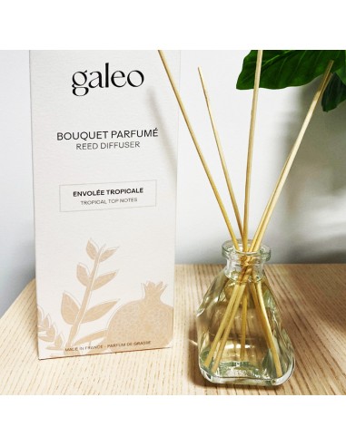 Diffuseur rotin "Envolée Tropicale" - Galeo GALEO Diffuseur de parfum