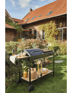 Barbecue "Broadway" mixte charbon/ électrique - Somagic Somagic barbecue Barbecue 2