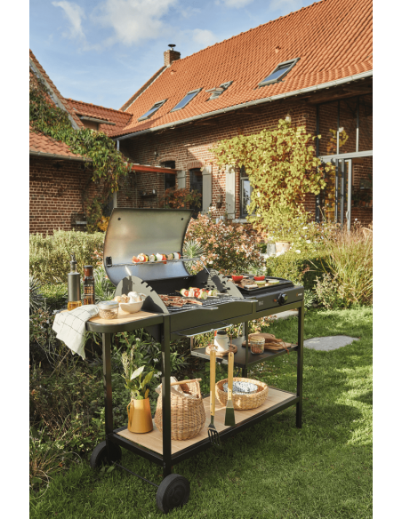 Barbecue "Broadway" mixte charbon/ électrique - Somagic Somagic barbecue Barbecue