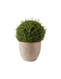 Pot Egg Floréal Ø31 x H.30 cm - ECLOZ ECLOZ Pot et bac en fibre rond