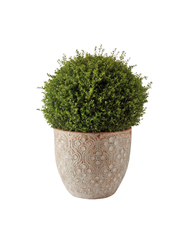 Pot Egg Floréal Ø43x H.39 cm - ECLOZ ECLOZ Pot et bac en fibre rond