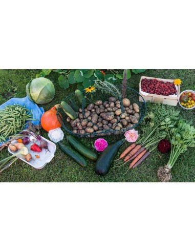 Engrais liquide universel 1L - Or brun Or Brun Engrais spécifique