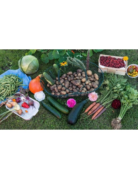 Engrais liquide universel 1L - Or brun Or Brun Engrais spécifique