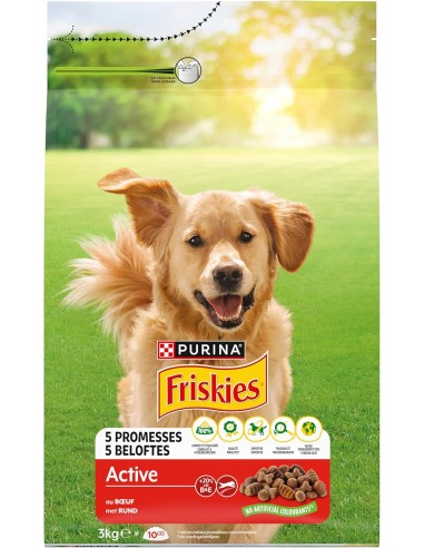 Croquettes Chien Vitality Bœuf 3kg - Friskies® Friskies Alimentation et croquette