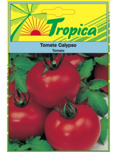 Graines de Tomate Calypso - Tropica Tropica Graines du potager