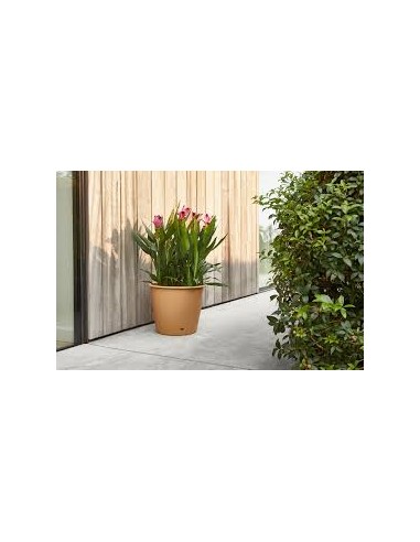 Pot en plastique Autonome Ø20cm + Soucoupe Clipsée havane - 2,5L - ECLOZ ECLOZ Pot et bac en plastique rond