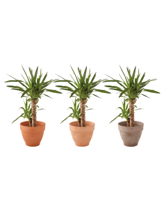 Pot en terre cuite Veneto cotto Ø40 cm - ECLOZ ECLOZ Pot et bac en terre cuite rond 2