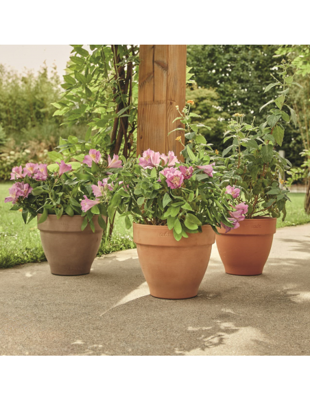 Pot en terre cuite Veneto gris Ø20 cm - ECLOZ ECLOZ Pot et bac en terre cuite rond