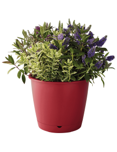 Pot en plastique Autonome Ø30cm + Soucoupe Clipsée rose - 9,6L - ECLOZ ECLOZ Pot et bac en plastique rond