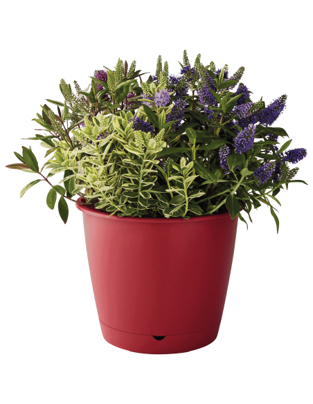 Pot en plastique Autonome Ø30cm + Soucoupe Clipsée rose - 9,6L - ECLOZ ECLOZ Pot et bac en plastique rond