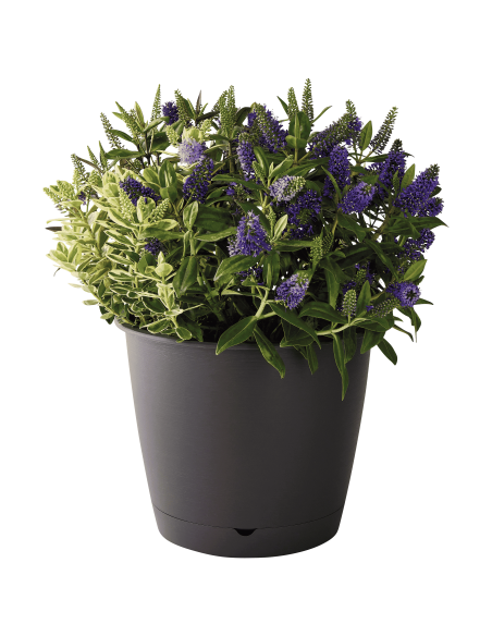 Pot en plastique Autonome Ø35cm + Soucoupe Clipsée anthracite - 16L - ECLOZ ECLOZ Pot et bac en plastique rond