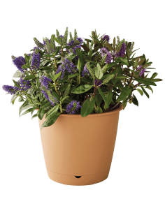 Pot en plastique Autonome Ø40cm + Soucoupe Clipsée havane - 23L - ECLOZ ECLOZ Pot et bac en plastique rond