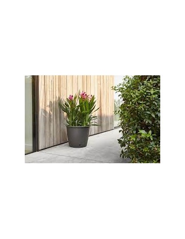 Pot en plastique Autonome Ø50cm + Soucoupe Clipsée anthracite - 47,5L - ECLOZ ECLOZ Pot et bac en plastique rond