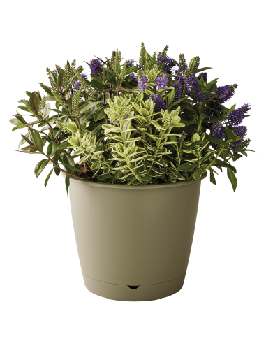 Pot en plastique Autonome Ø50cm + Soucoupe Clipsée kaki - 47,5L - ECLOZ ECLOZ Pot et bac en plastique rond
