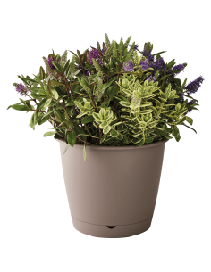 Pot en plastique Autonome Ø40cm + Soucoupe Clipsée taupe - 23L - ECLOZ ECLOZ Pot et bac en plastique rond