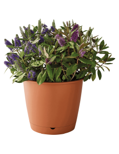 Pot en plastique Autonome Ø50cm + Soucoupe Clipsée terre cuite - 47,5L - ECLOZ ECLOZ Pot et bac en plastique rond