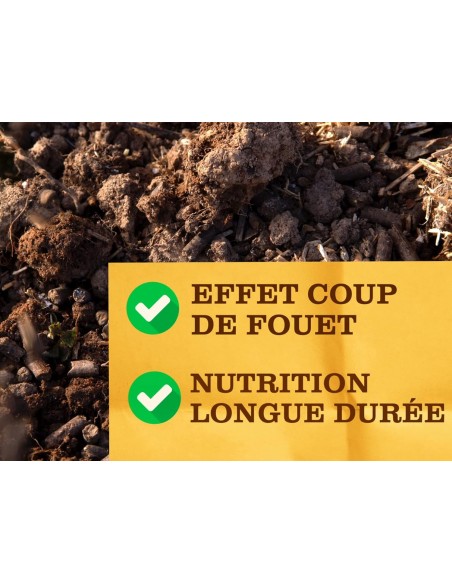 Engrais complet 1kg - Solabiol Solabiol Engrais spécifique