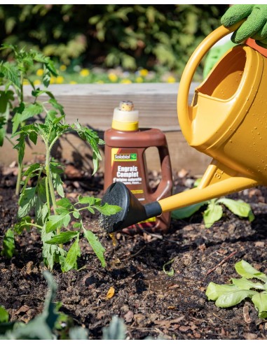 Engrais complet 2,5L - Solabiol Solabiol Engrais spécifique