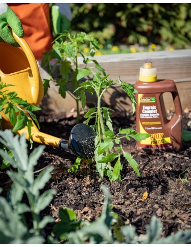 Engrais complet 2,5L - Solabiol Solabiol Engrais spécifique