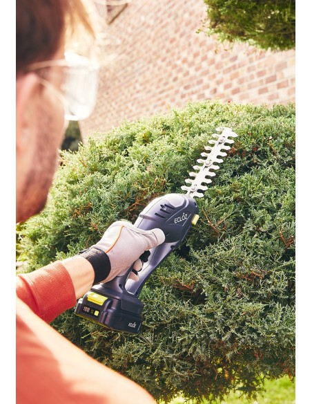 Sculpte haies 2 en 1 sur Batterie 20V - ECLOZ ECLOZ Elagueuse