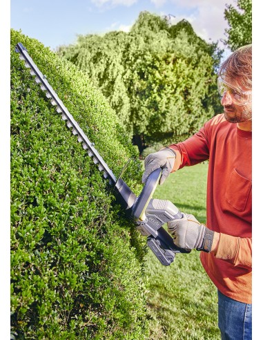 Taille haies sur Batterie 20V - ECLOZ ECLOZ Taille-haie