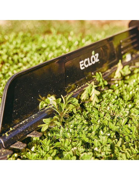 Taille haies sur Batterie 20V - ECLOZ ECLOZ Taille-haie