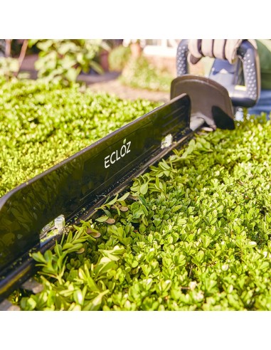 Taille haies sur Batterie 20V - ECLOZ ECLOZ Taille-haie
