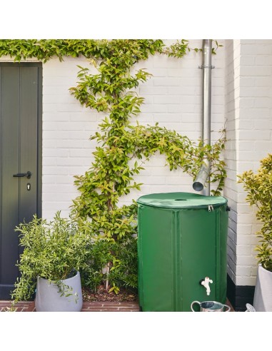 Récupérateur d'eau pliable 225L - ECLOZ ECLOZ Récupérateur d'eau