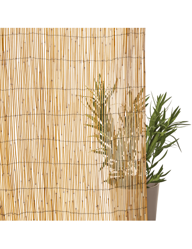 Canisse Paillon L.5 x H.1,5 m - ECLOZ ECLOZ Occultation, canisse et treillage